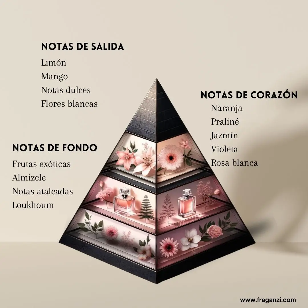 Imagen del producto 4
